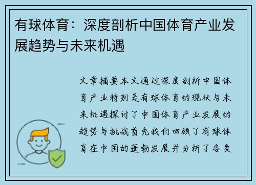 有球体育：深度剖析中国体育产业发展趋势与未来机遇